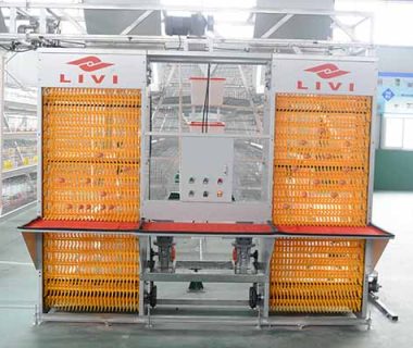 automatic egg collection equipment