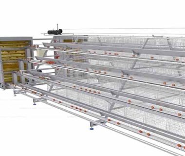 the best layer battery cage in best price