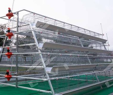 A type poultry battery cage