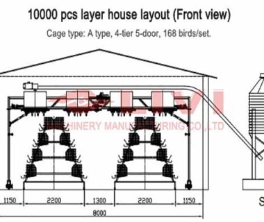 chicken-house-design-of-10000-layers