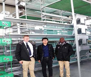 nigeria-customers-visit-livi-poultry-equipment-factory