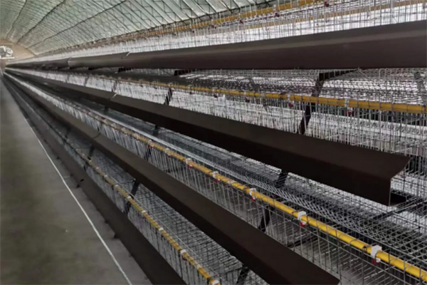 Battery Cage System In Poultry Farming