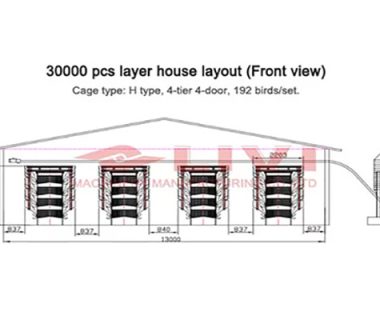 chicken house design of 30000 layers