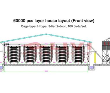 chicken house design of 60000 layers