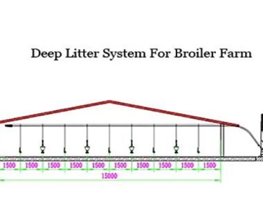 broiler floor system