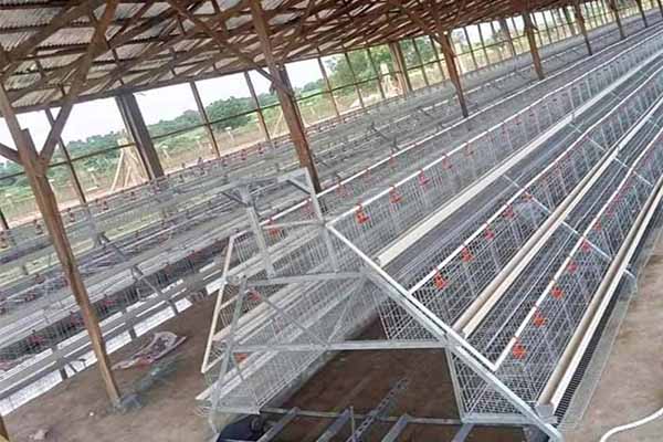 15000-chickens-layer-battery-cage-system-for-sale
