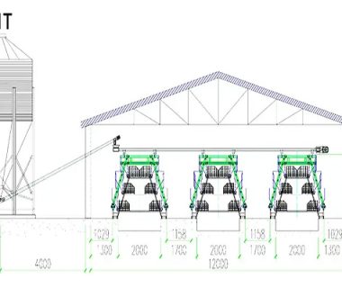 15000-layers-in-modern-poultry-house-design