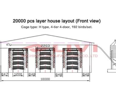 layer house design of 20000 chickens