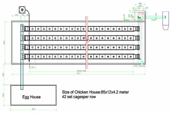 Chicken House Design Of 45000 Layers