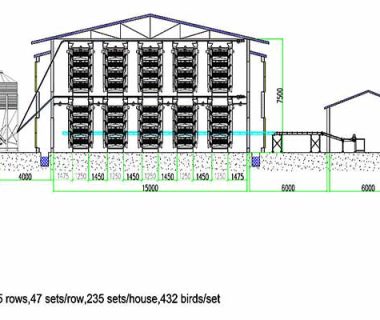 Chicken House Design for 100,000 Layers