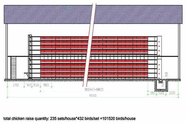 Chicken House Design for 100,000 Layers