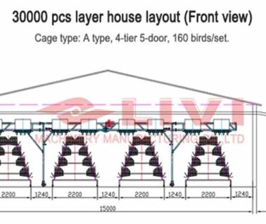 10000-layers-raising-in-poultry-house-design