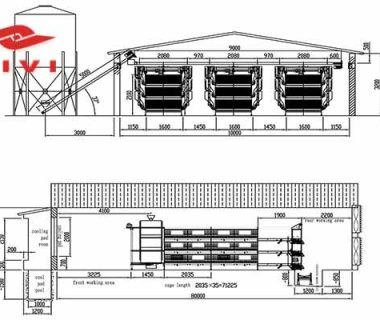 Chicken House Design Of 15000 Layers