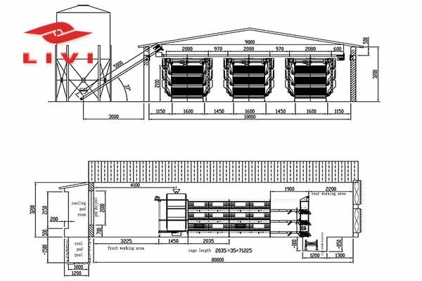 Chicken House Design Of 15000 Layers