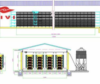 60000-layers-battery-cages-poultry-farm-design