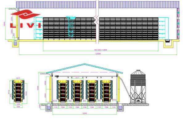 60000-layers-battery-cages-poultry-farm-design