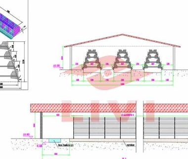 20000-layers-poultry-farm-design-plan-in-zambia