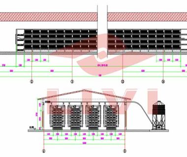 50000-pullets-chicken-farm-design-plan